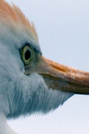 24. epizoda