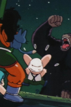 The Legend of Goku