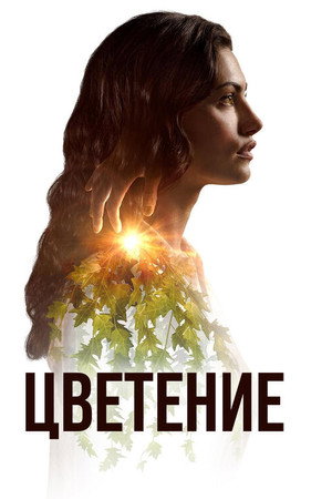 Цветение