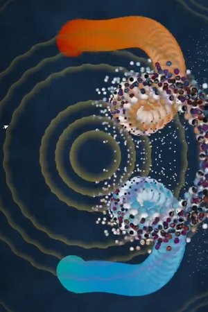 The Moonlight Surfer