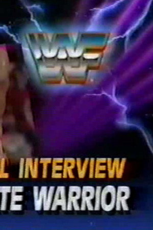 January 12, 1991 - Superstars of Wrestling