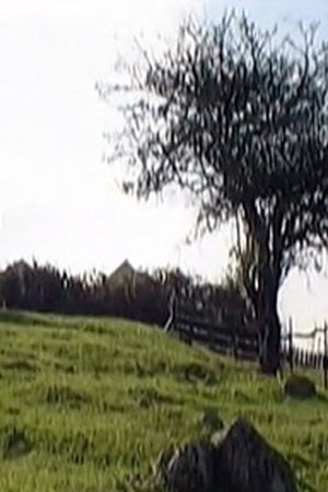 Severní Irsko: Magická zem
