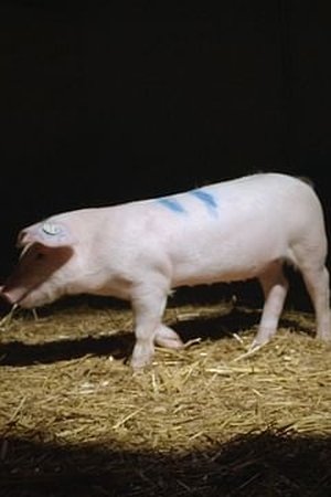 169. epizoda