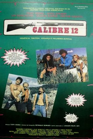 Calibre 12