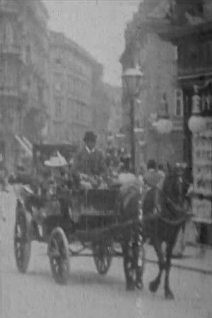 Horse Drawn Traffic Horse Drawn Traffic