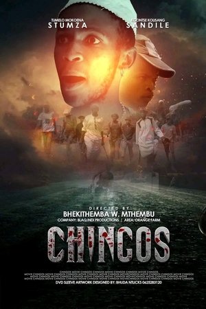 Chingos