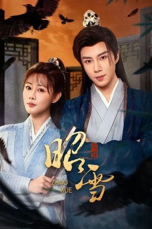 The Vindication of Shadows