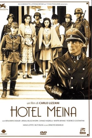 Hotel Meina