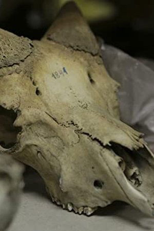 6. epizoda