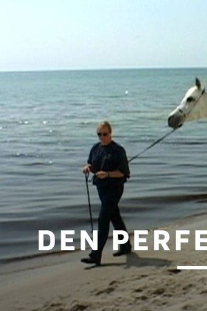 Den perfekta araben
