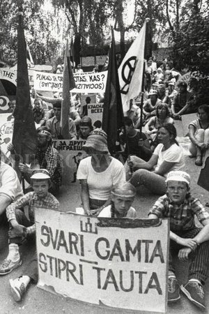 Žalieji muškietininkai