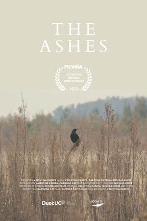 The Ashes