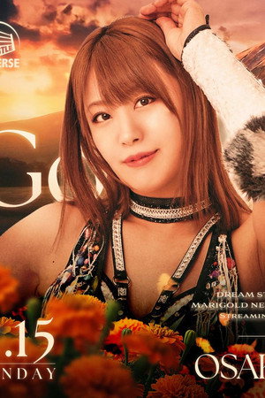 Marigold New Years Golden Garden 2026 ~ Day 11
