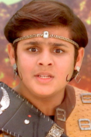 Mahavinashni's Protective Sheild