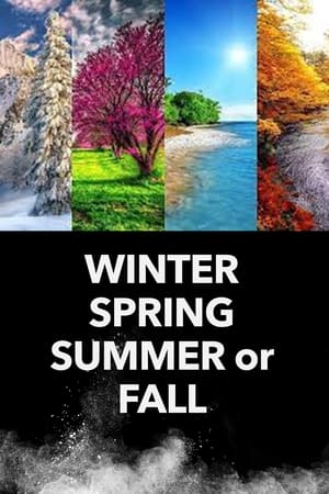 Winter Spring Summer or Fall