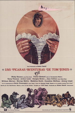 The Bawdy Adventures of Tom Jones