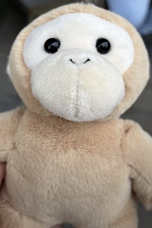 Mitchel Monkey