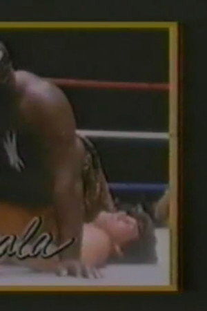 April 18, 1987 - Superstars of Wrestling 33