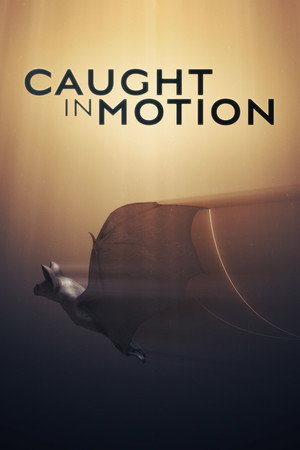 Caught in Motion