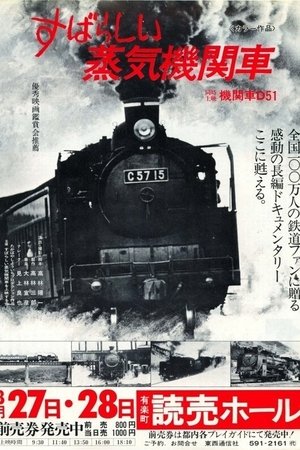 The Wonderful World of Steam Locomotive