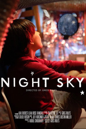Night Sky