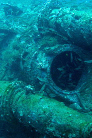 Pohřebiště v Atlantiku