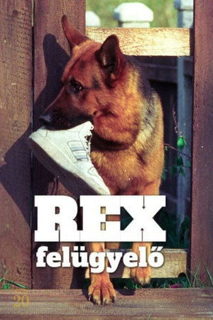 Rex felügyelő