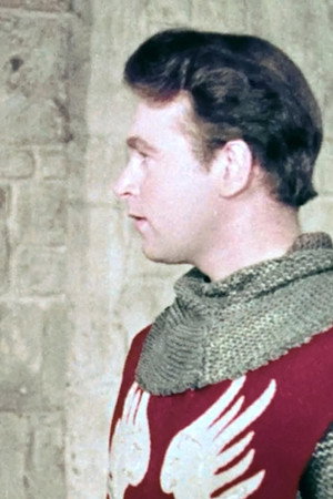 Knights Choice