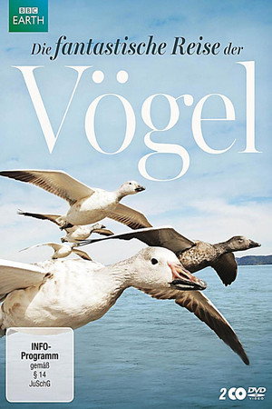 Die fantastische Reise der Vögel
