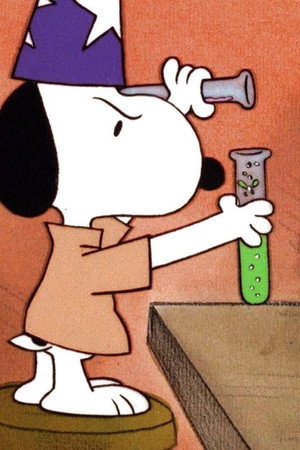 It's Magic, Charlie Brown