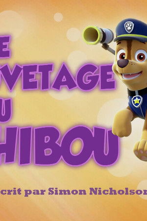 Tlapky zachraňují sovu