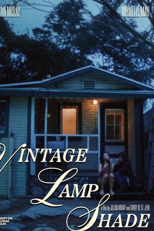 Vintage Lamp Shade