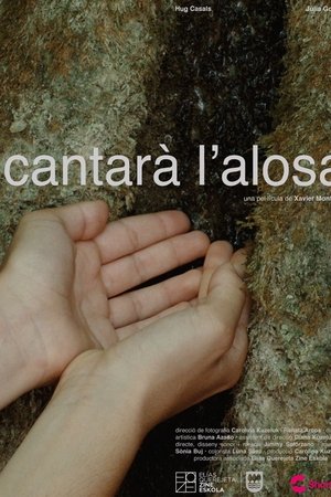 Cantarà L'Alosa
