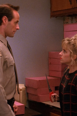 Lauřin tajný deník