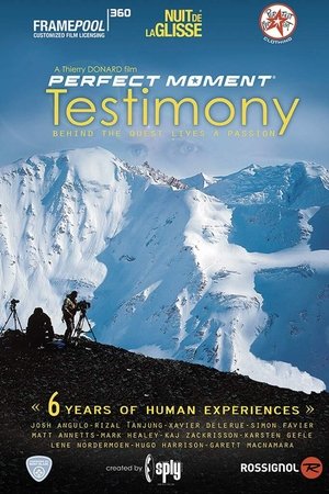 Perfect Moment - Testimony