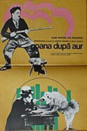 Goana după Aur