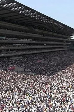 The Race Before the Japanese Derby