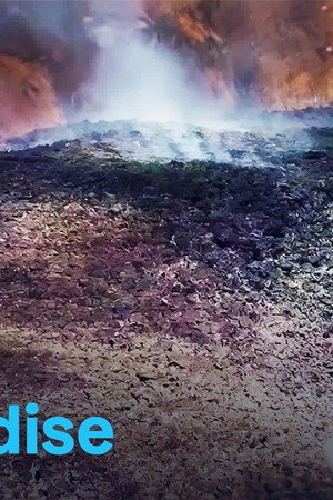 Martinique: The deadliest volcanic eruption of the 20th century