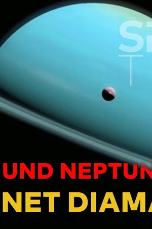 6. epizoda