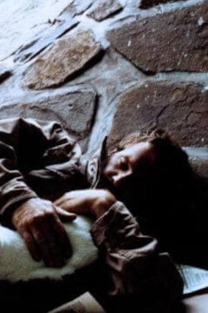 Schimanski - 29 - Případ Schimanski