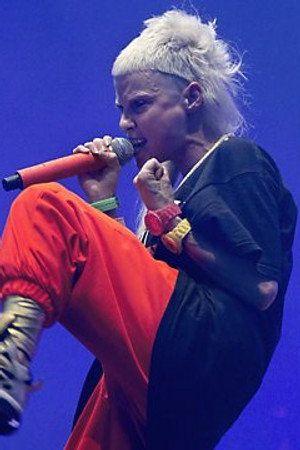 Die Antwoord