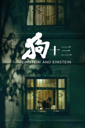 狗十三