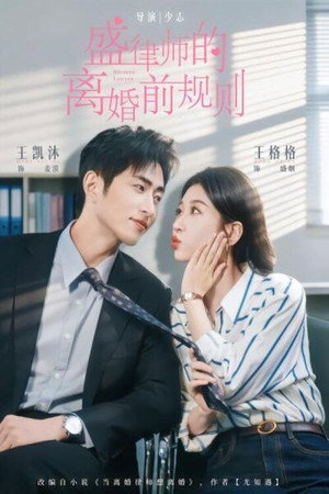 盛律师的离婚前规则