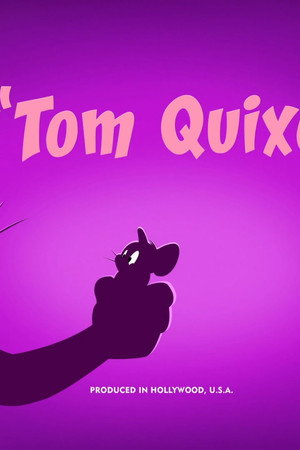 Tom Quixote