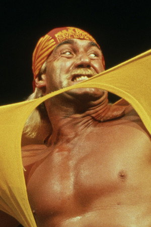 Hulkamania
