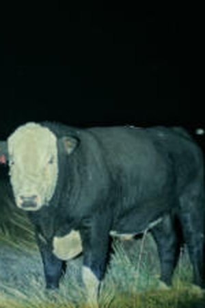 1. epizoda