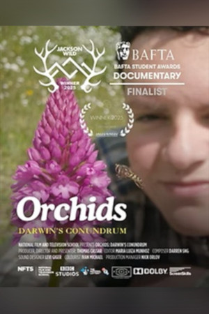 Orchids: Darwin's Conundrum