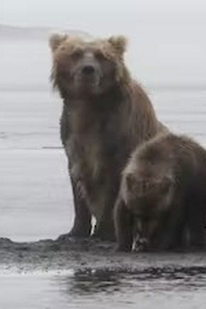 5. epizoda