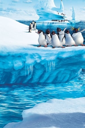 Happy Feet