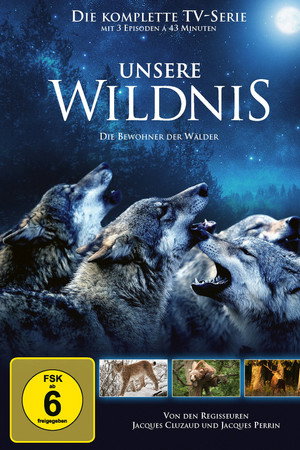 Eine Welt aus Wäldern
